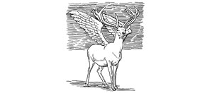 BONE%20QUILL%20TOPPER%20WHITE%20STAG